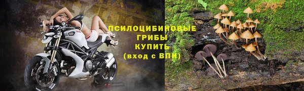 соль ск Лихославль